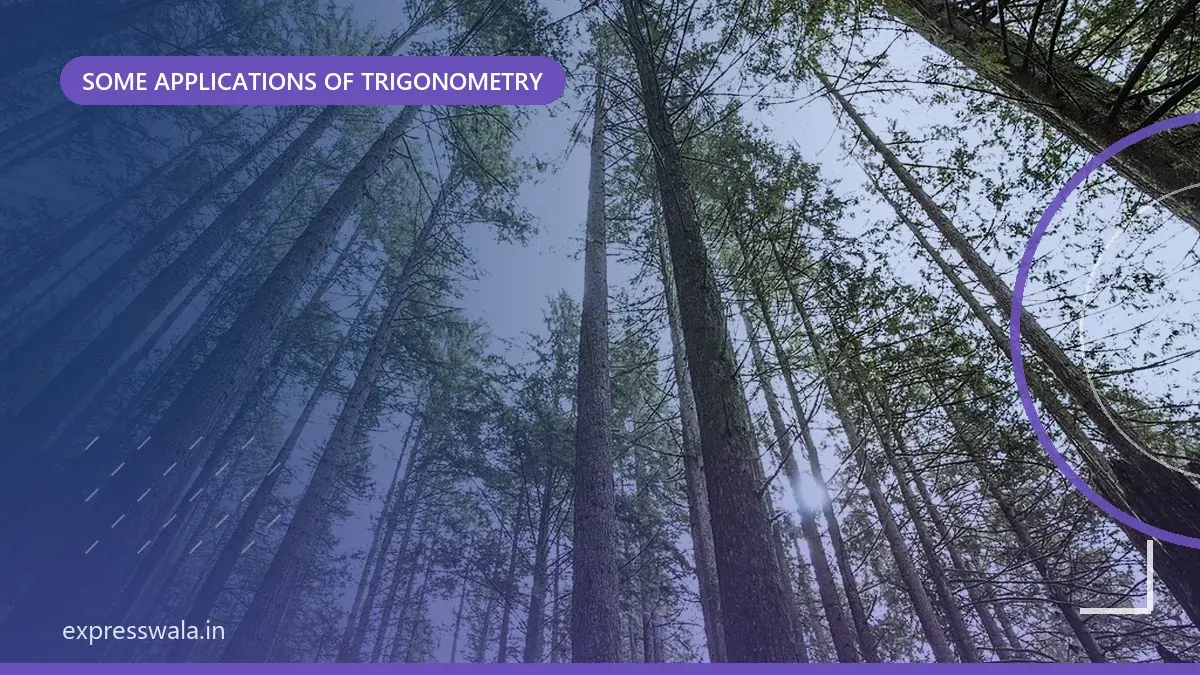 Heights and Distances: Problems with Two Angles of Elevation
