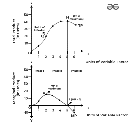 Total product and marginal product curves across three phases, marking the inflexion point, maximum TP, maximum MP and MP equal to zero