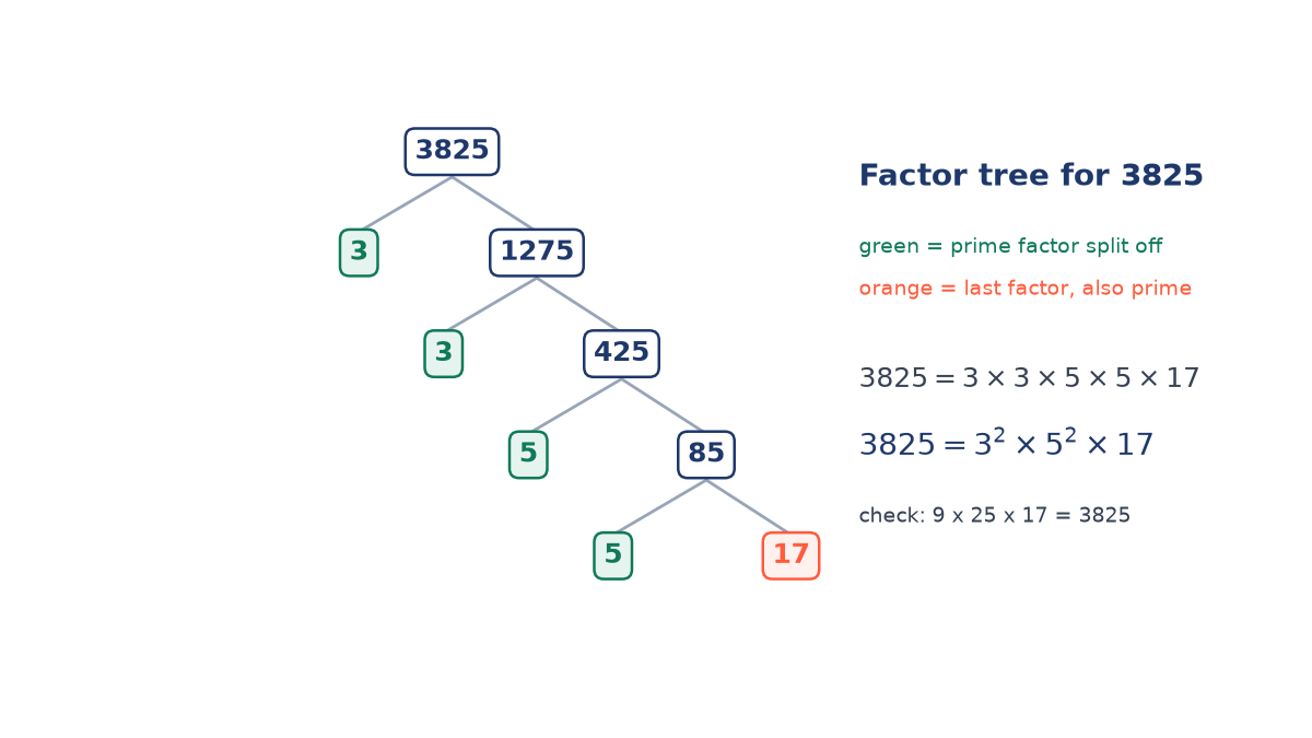 Factor tree for 3825: splits into 3 and 1275, then 3 and 425, then 5 and 85, then 5 and 17, giving 3825 = 3 squared times 5 squared times 17.