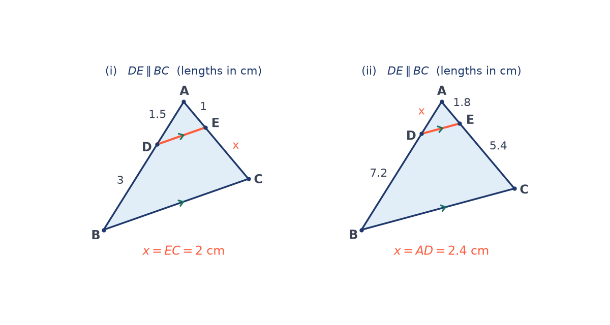 Two triangles ABC with DE parallel to BC: in (i) AD 1.5, DB 3, AE 1 and unknown EC equals 2 cm; in (ii) unknown AD equals 2.4 cm, DB 7.2, AE 1.8, EC 5.4