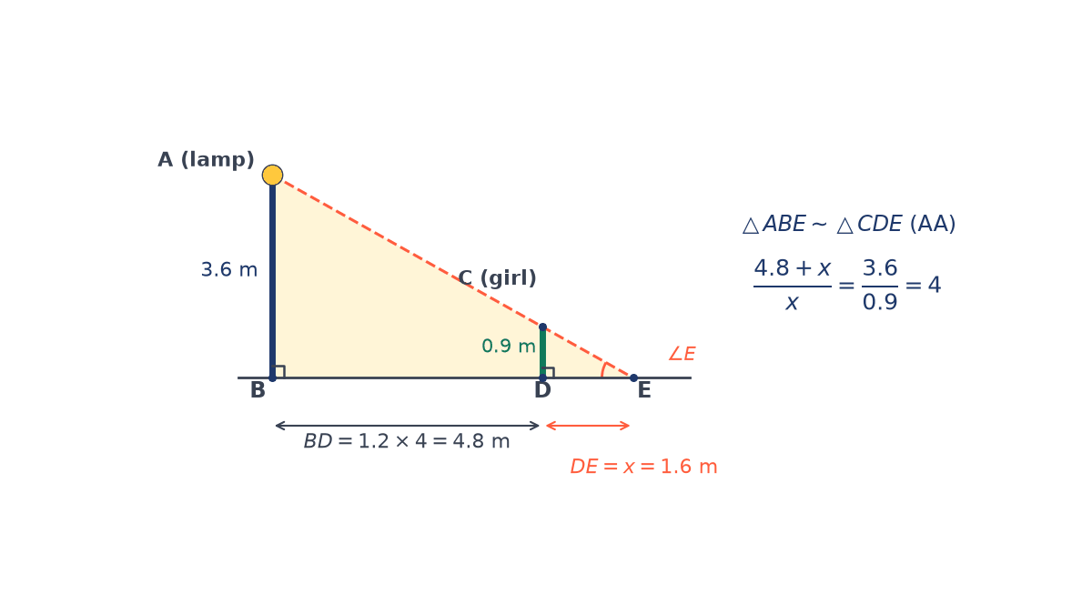 Lamp-post AB 3.6 m tall, girl CD 0.9 m tall standing 4.8 m from its base, light ray from A through C reaching the ground at E, shadow DE of 1.6 m, right angles at B and D