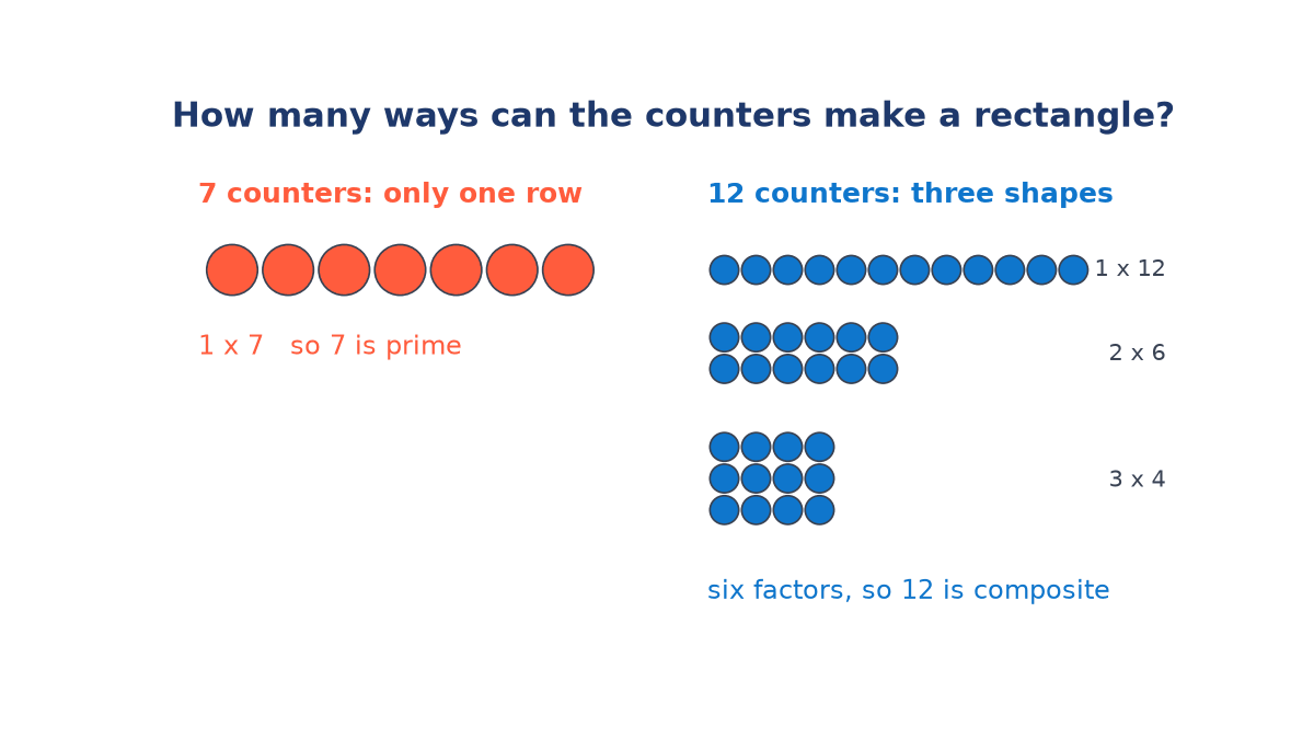 Seven counters can only form one row, 1 x 7, so 7 is prime; twelve counters form rectangles 1 x 12, 2 x 6 and 3 x 4, so 12 is composite.