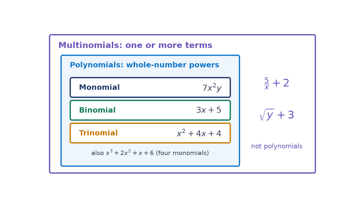 Nested boxes: multinomials contain polynomials, which contain monomial 7x squared y, binomial 3x + 5 and trinomial x squared + 4x + 4; 5/x + 2 and root y + 3 sit outside.