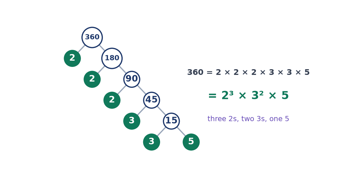 Factor tree for 360 splitting off 2, 2, 2, 3, 3 and 5 in turn, with the result 360 equals 2 cubed times 3 squared times 5, three 2s, two 3s and one 5