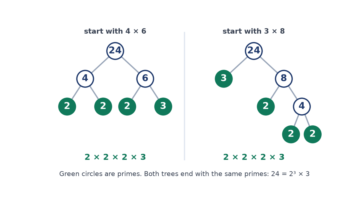 Two factor trees for 24: one splits 24 into 4 and 6, the other into 3 and 8; both end in green prime circles 2, 2, 2 and 3