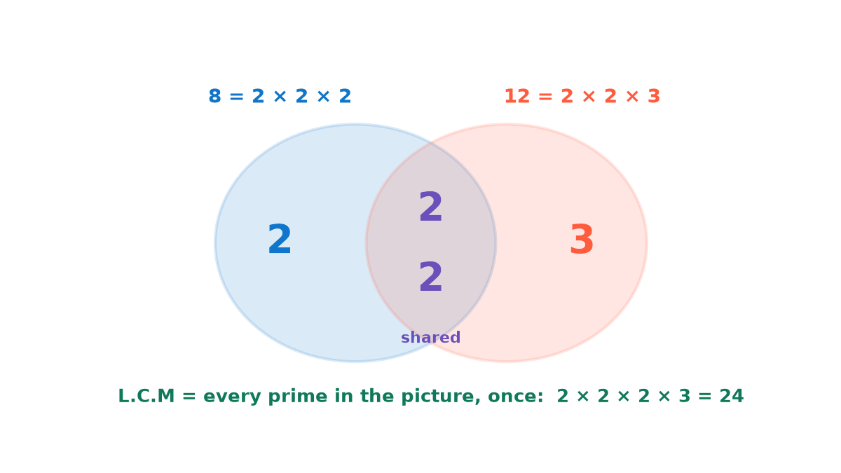 Venn diagram with 8 equals 2 times 2 times 2 on the left and 12 equals 2 times 2 times 3 on the right; two 2s shared in the middle, one 2 and one 3 outside; LCM equals 24