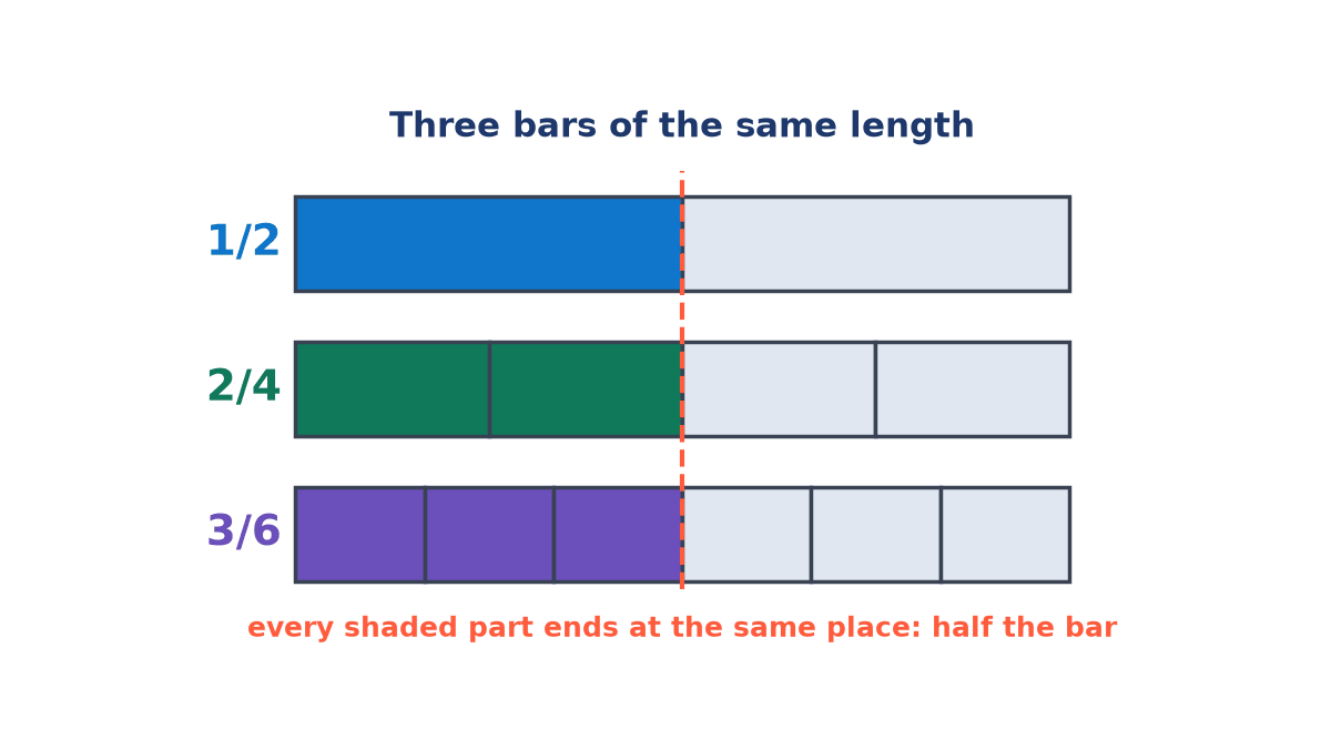 Three bars of equal length split into 2, 4 and 6 parts with 1, 2 and 3 parts shaded; a dashed line shows each shaded part ends exactly at the half-way mark.