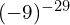 (-9)^{-29}