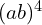 (ab)^4