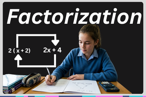 Factorization by expresswala