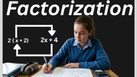 Factorization by expresswala